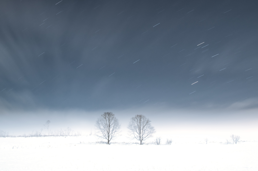 White tree