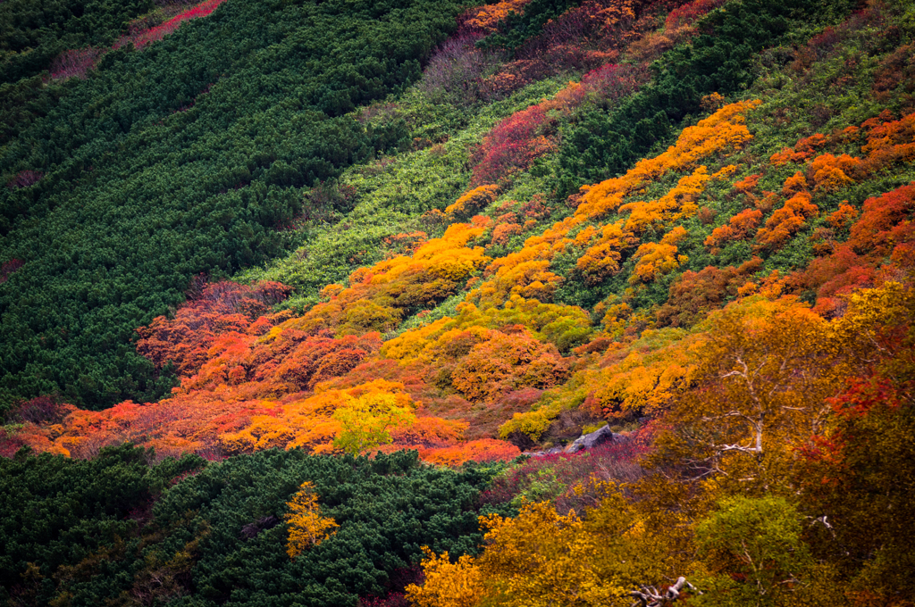 2013 autumn