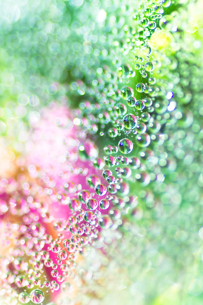 Green Drops