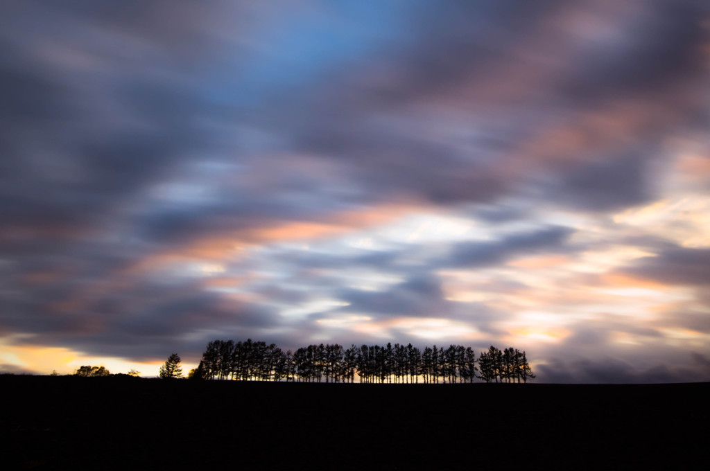 Wave of autumn