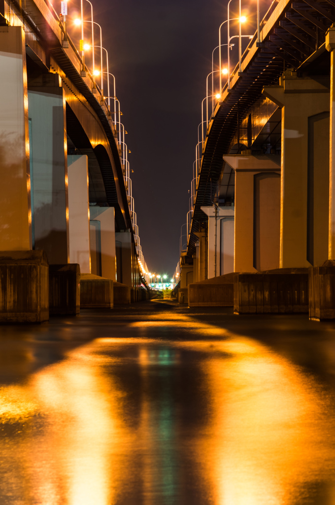 Golden Twin-bridge
