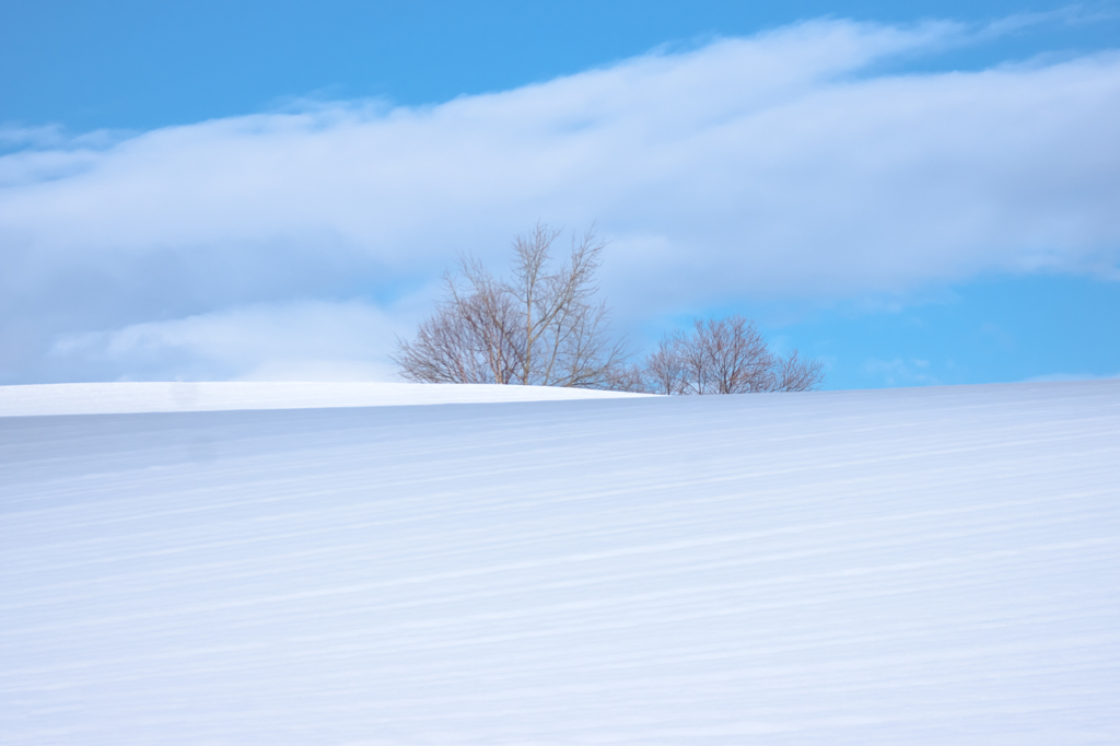 Snow-white , Sky-blue