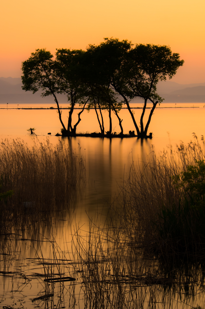 Twilight