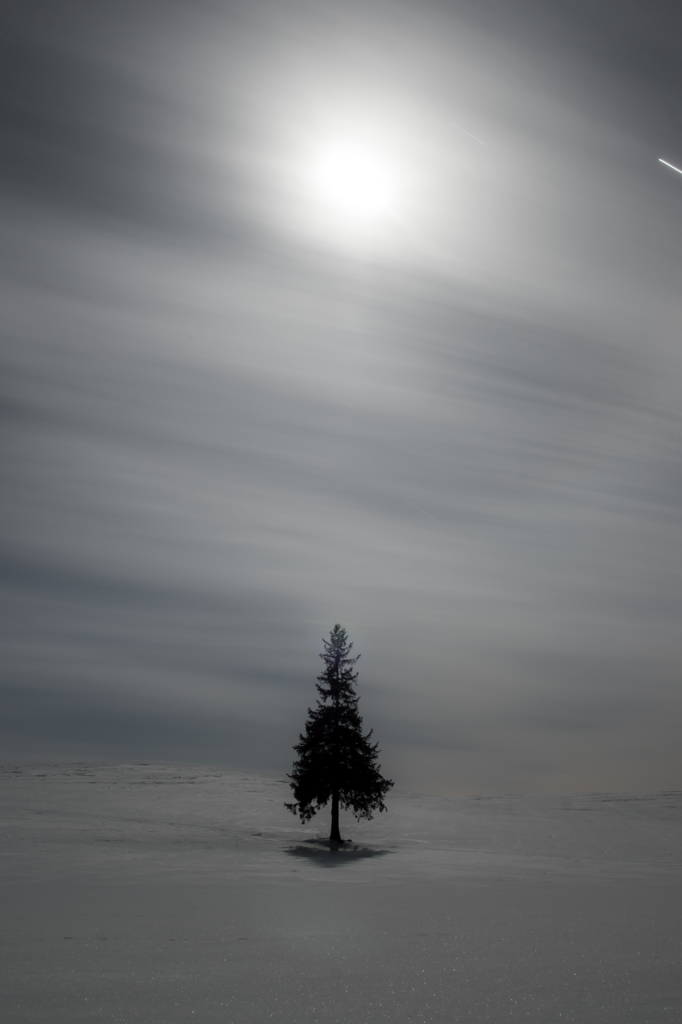 Frozen wind