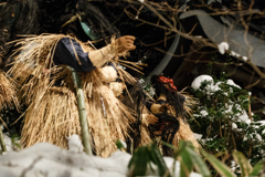 Iなまはげ入魂　３