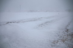 雪走る