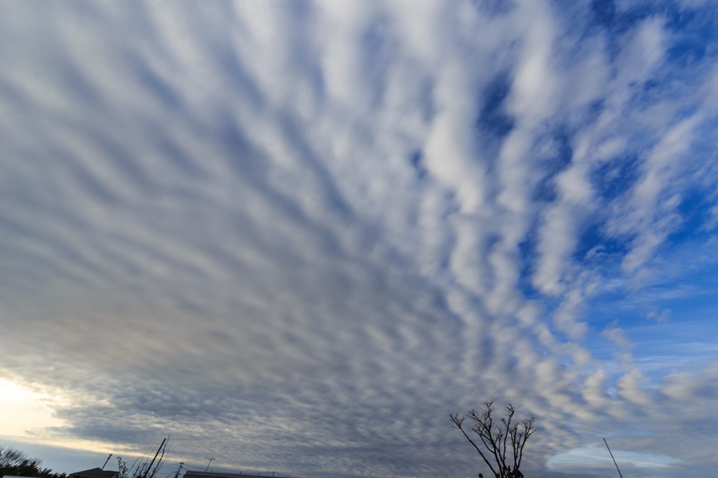 春の雲