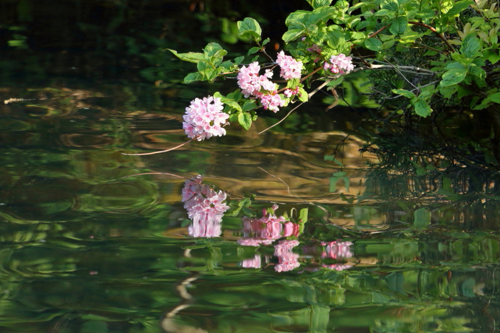 水鏡２