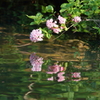 水鏡２