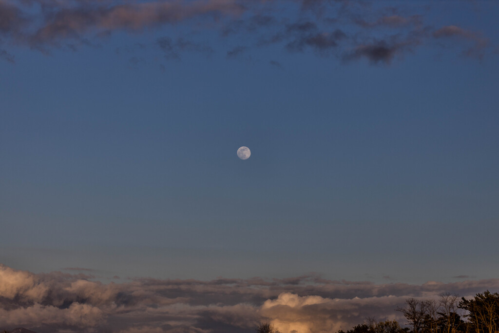 夕月　