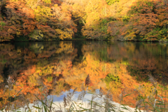 日陰の点景