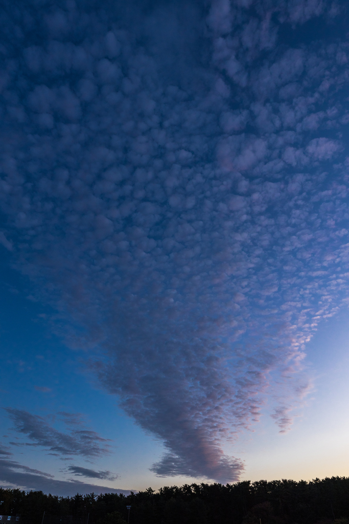 いわし雲