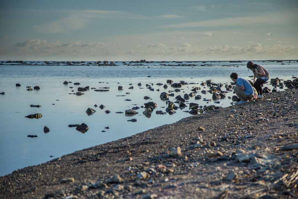 海辺で