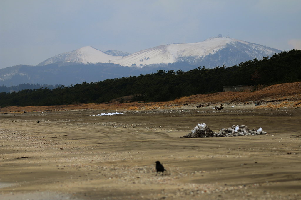 寒風山冠雪