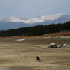 寒風山冠雪