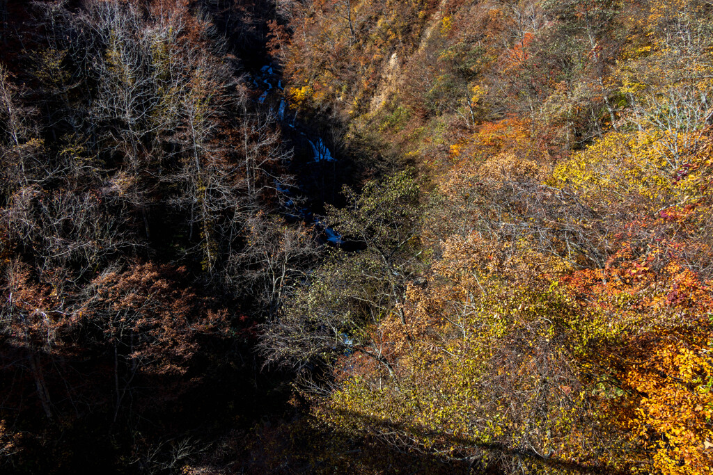 橋下の光景　Ⅲ
