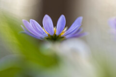 窓辺にて