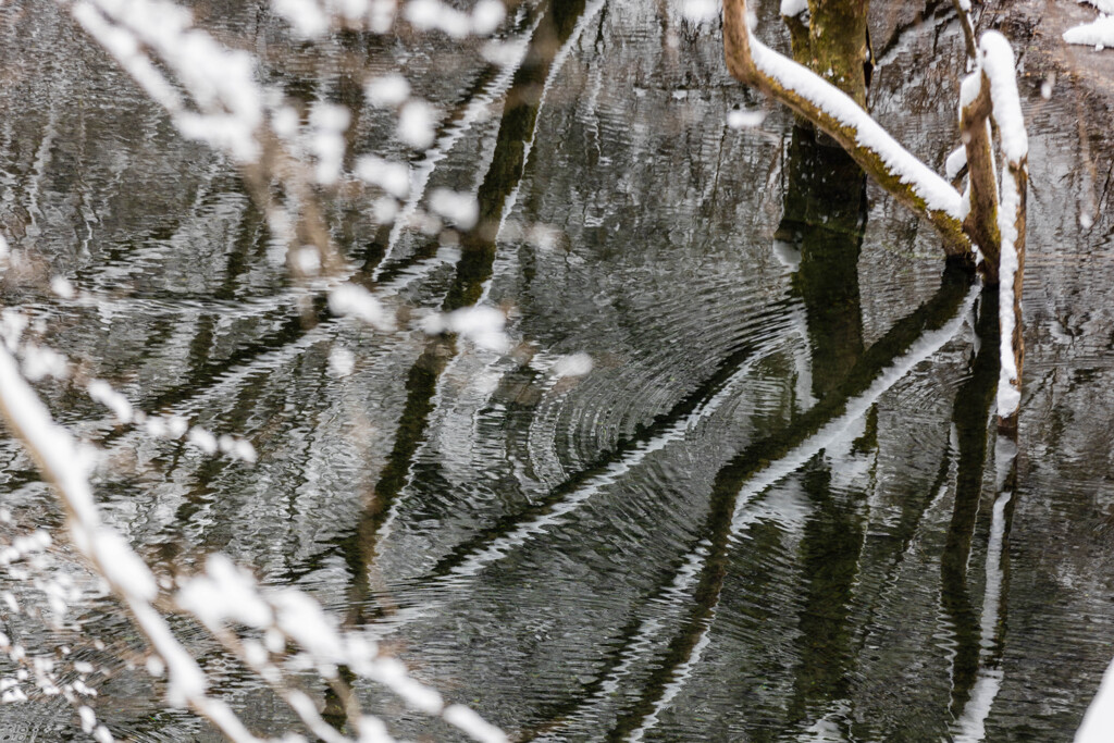 二月の水面