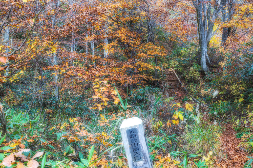 登山口