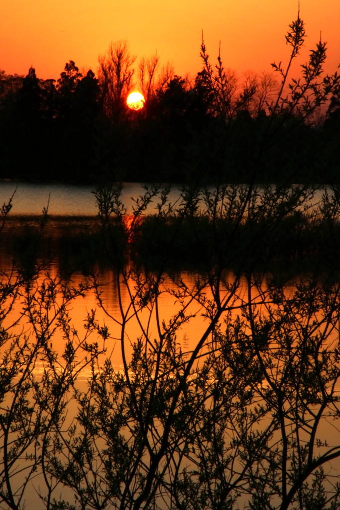 小泉潟夕景