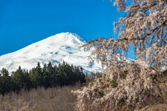 鳥海山～季節の諸相～