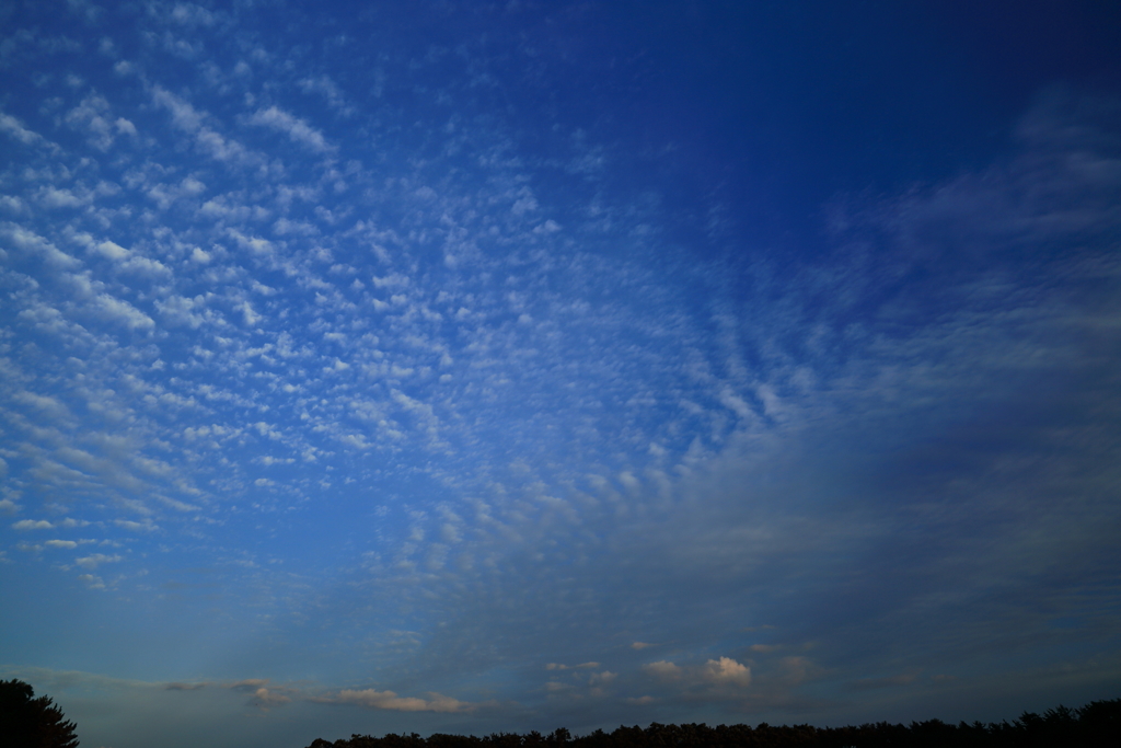 七月の空