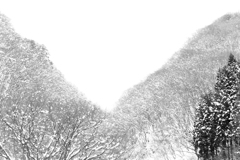 雪空