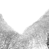 雪空
