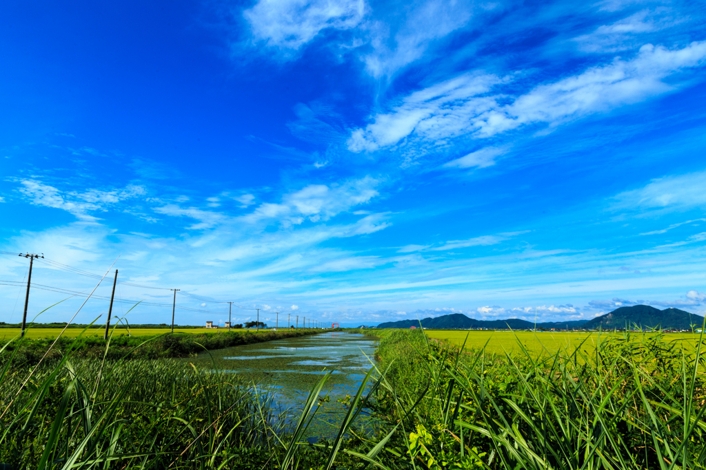 南秋平野の夏　Ⅴ