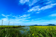 南秋平野の夏　Ⅴ