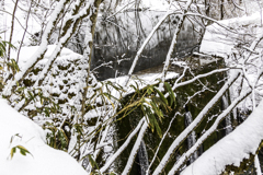 雪の堰堤　