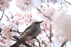 充ち足りて