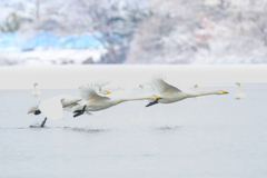 飛び出す！