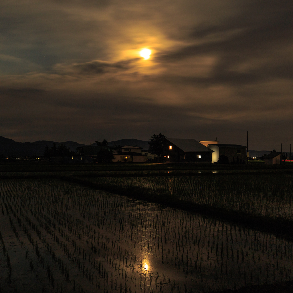 田の月