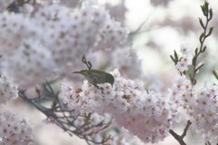 忙しいんです！