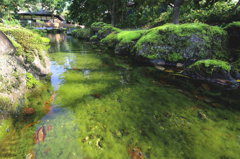 苔川