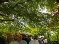 見学会　Ⅱ　表門