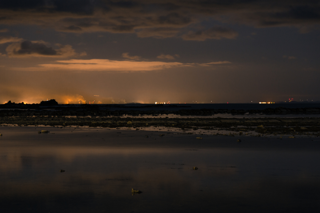 11月の鵜ノ崎海岸　⑲