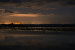 11月の鵜ノ崎海岸　⑲