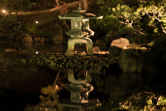 Lantern In The Light