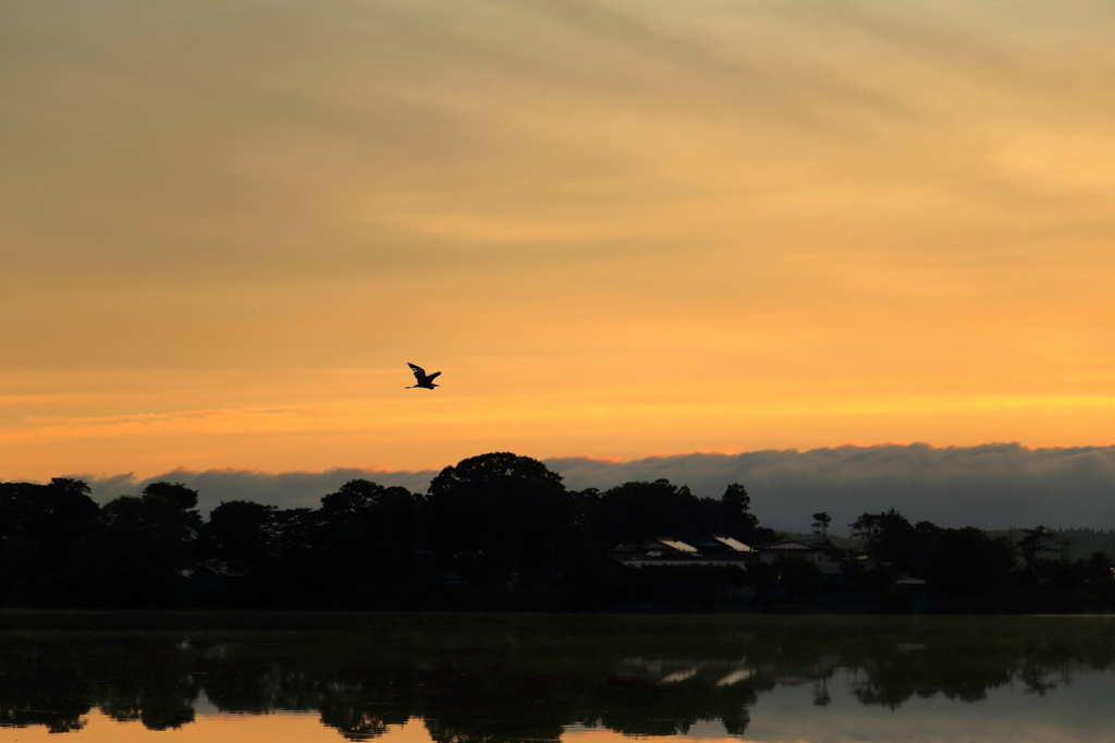 小泉潟の朝焼け