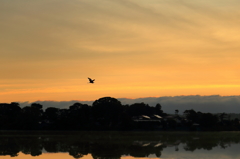 小泉潟の朝焼け
