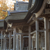 五社堂の屋根