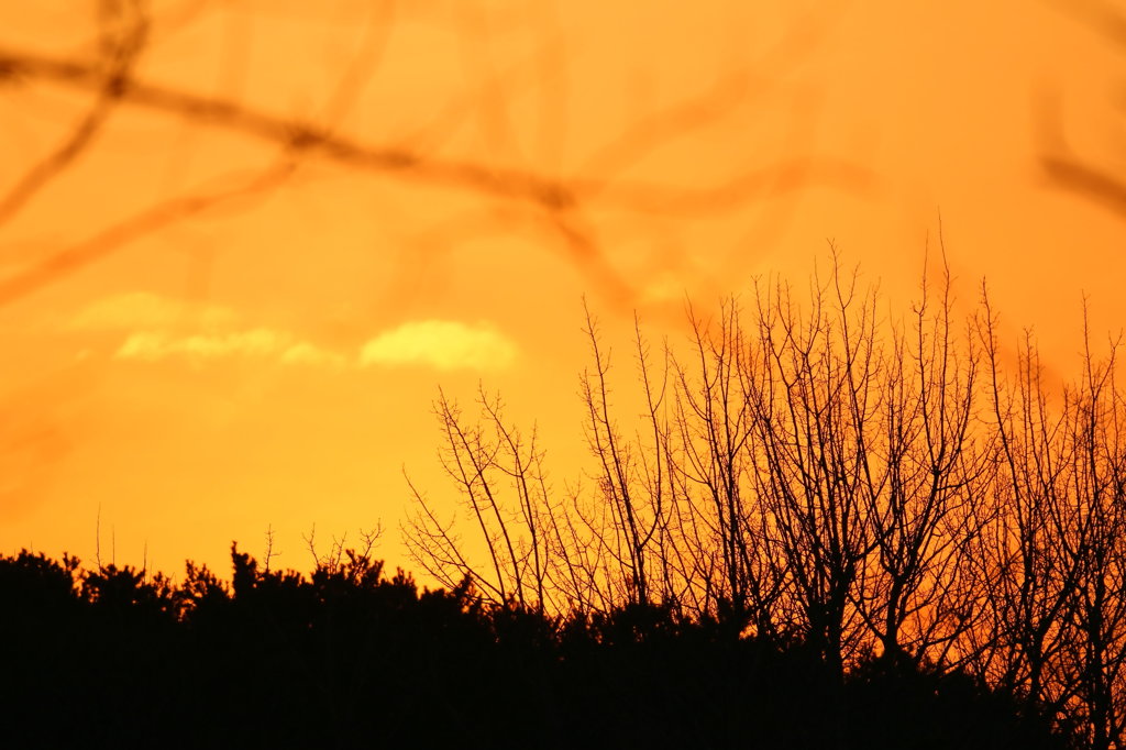 夕空