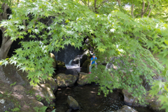 涼む少年