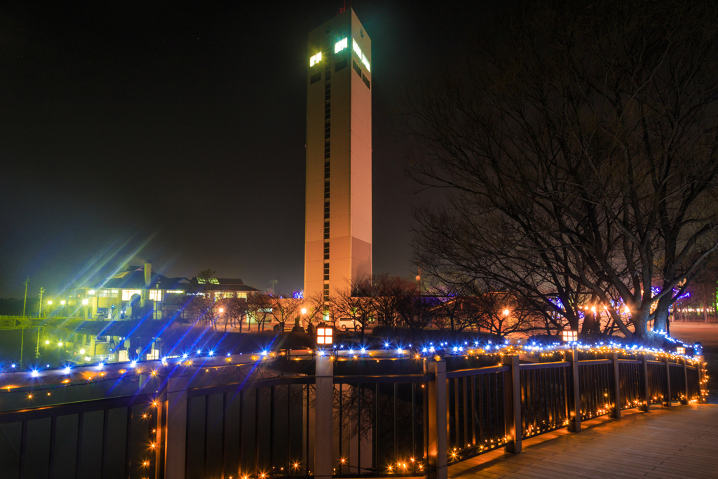 グリーンランドの夜