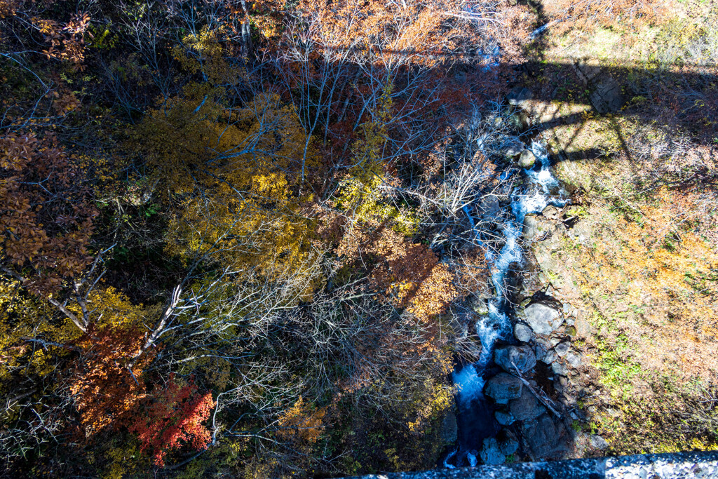 橋下の光景