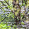 山瀬ダム上流
