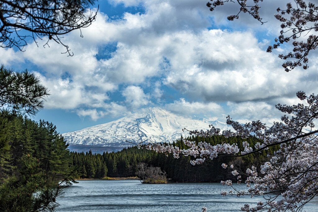 四角井戸溜池より　Ⅴ