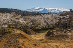 採掘場と桜と鳥海